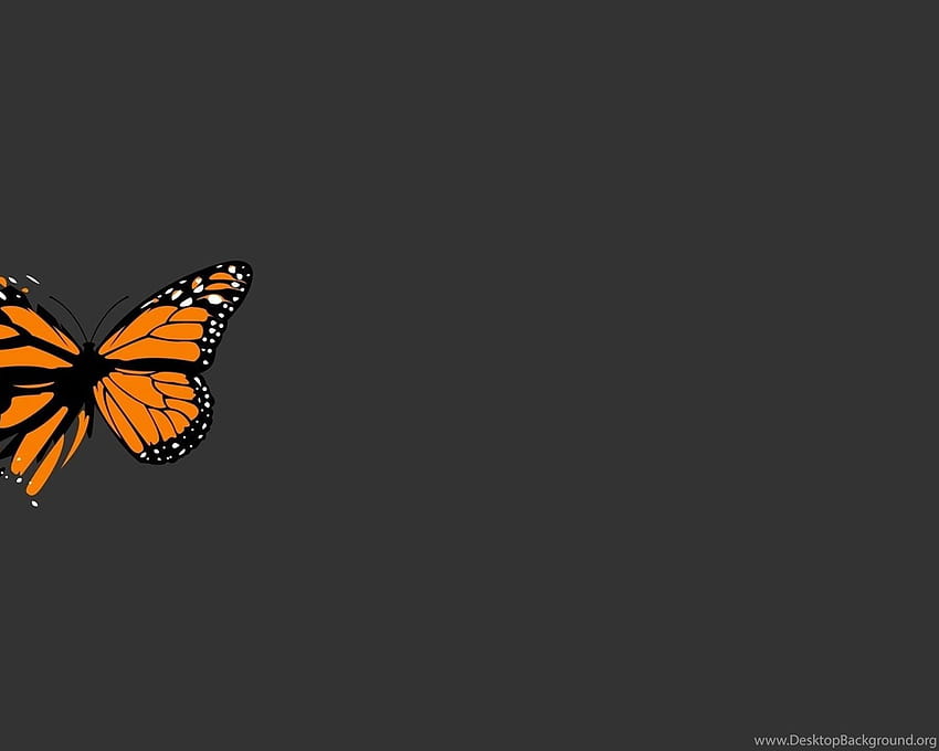 Butterfly 21883 Backgrounds, aesthetic butterfly computer HD wallpaper ...