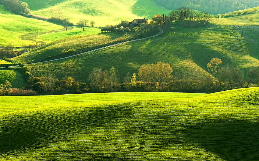 Toscana, verão, bela natureza, colinas verdes, Itália, Europa com resolução 3840x2400. Alta qualidade, verde natural papel de parede HD