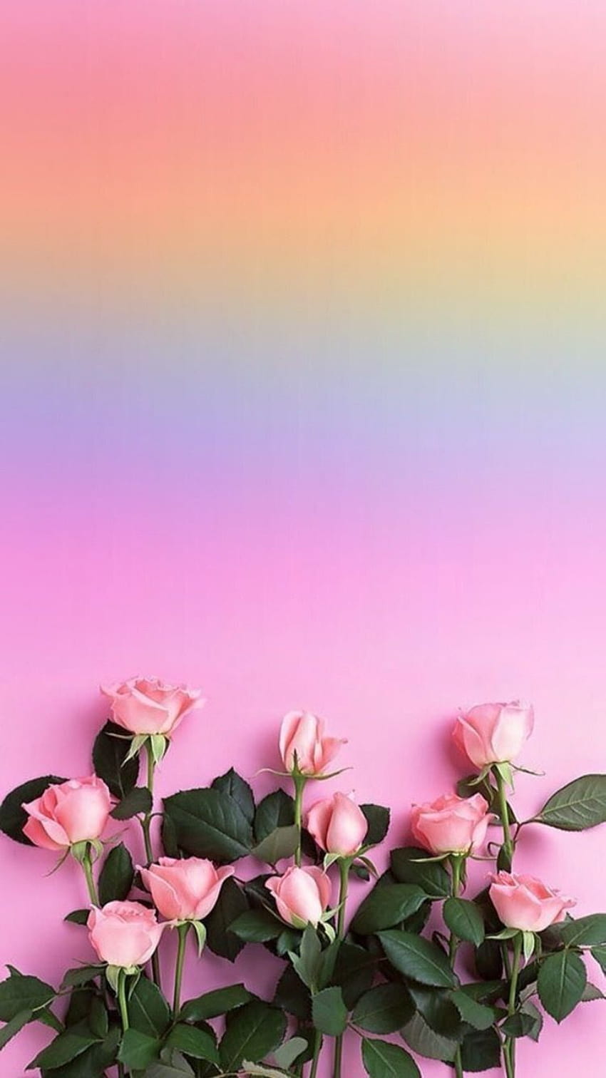 pin: l i s s e t t e✨, pastel aesthetic flower HD phone wallpaper