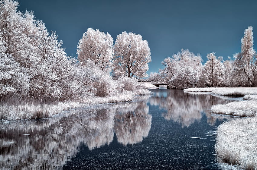 2560x1700 Ice Lake Frozen Trees Chromebook Pixel , Backgrounds, and, winter chromebook HD wallpaper