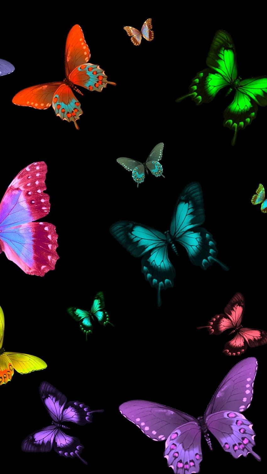 Butterfly Ios, butterfly for phone HD phone wallpaper | Pxfuel