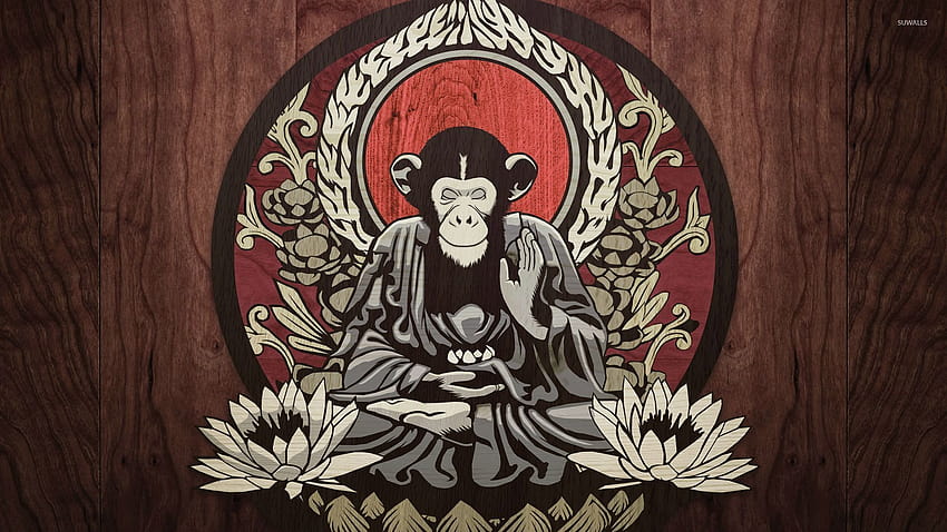Meditating monkey, meditate HD wallpaper