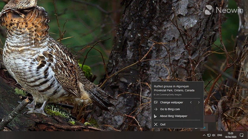 New Bing app lets you set Bing's daily as your, general hawk HD wallpaper