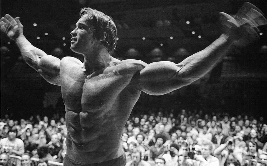 Arnold Schwarzenegger, motivazione di Arnold Sfondo HD