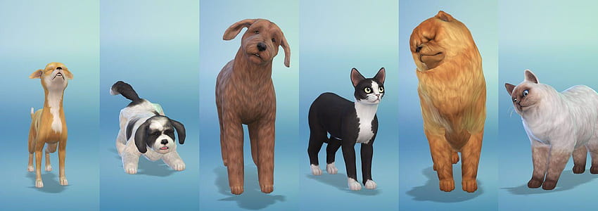 Raças em The Sims 4 Gatos e Cães, cães e gatos 2018 papel de parede HD