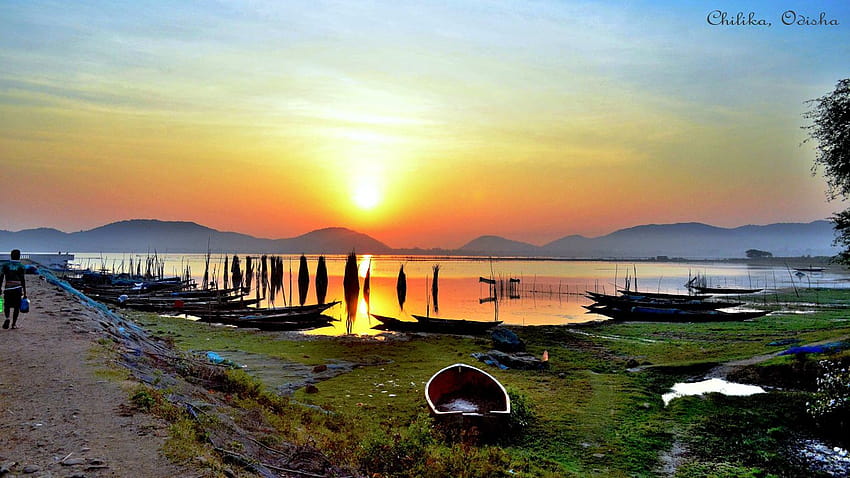 Sunrise Chilika Lake At Rambha, Odisha, India HD wallpaper