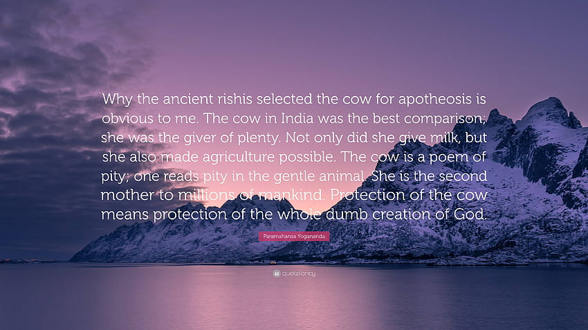Paramahansa Yogananda kutipan: “Mengapa para resi kuno memilih sapi untuk pendewaan jelas bagi saya. Sapi di India adalah pembanding terbaik; dia w...” Wallpaper HD