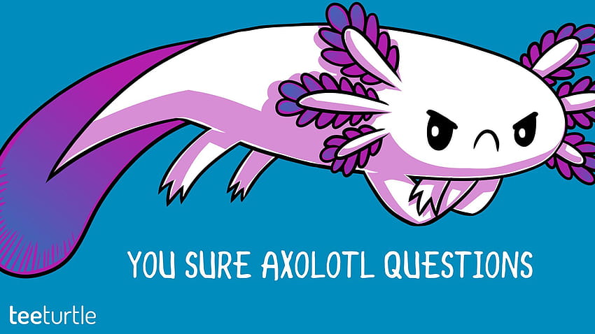 WallMK: En iyi Axolotl, sevimli Axolotl HD duvar kağıdı