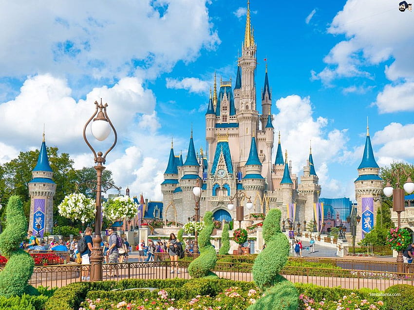 Cinderella Castle at Magic Kingdom in Walt Disney World Resort, disney world cinderella castle HD wallpaper