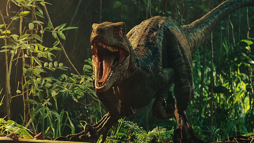 Jurassic World, Velociraptorblau HD-Hintergrundbild