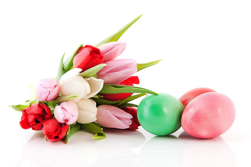 부활절 달걀 꽃다발 튤립 꽃 흰색 배경, 튤립 부활절 HD 월페이퍼