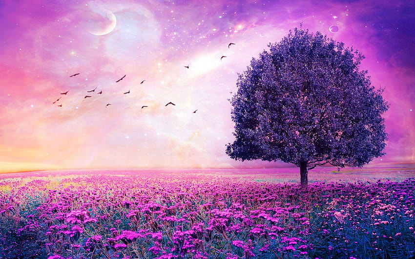 Campi di fiori rosa e viola, orizzonte rosa albero solitario Sfondo HD