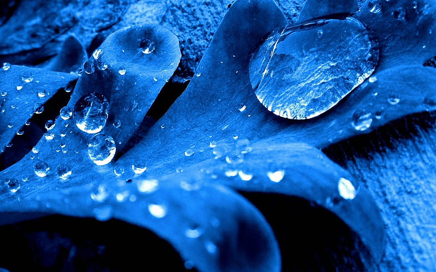 Blue Water Drops, ocean water droplets HD wallpaper