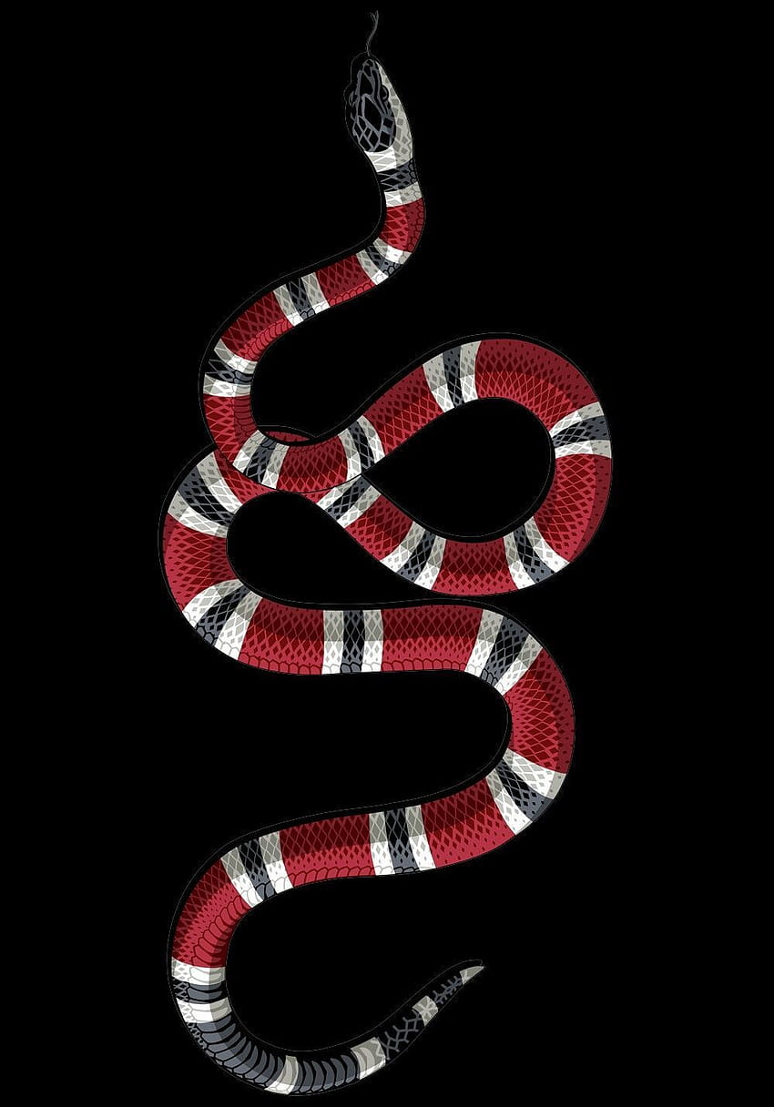 Gucci Slithering KingSnake Wallpaper by J Farhat by JFarhat on DeviantArt