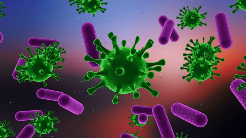 Bactéries, germes Fond d'écran HD