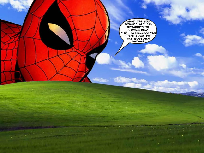 Group of Windows Xp Funny 1920X1080, funny spider HD wallpaper