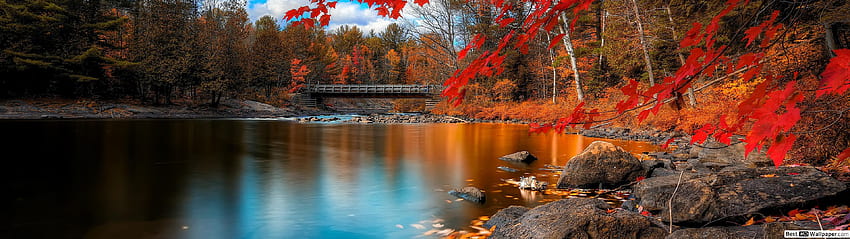 Красив изглед на есенния сезон, 3840x1080 есен HD тапет
