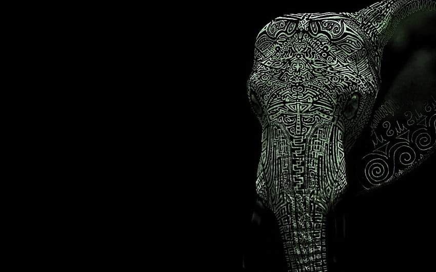 Iphone X Elephant, cute elephant aesthetic HD wallpaper