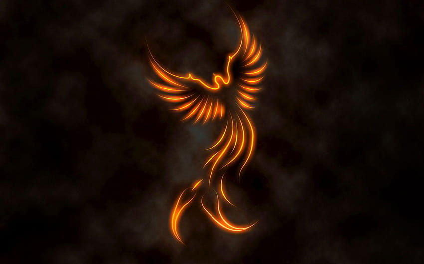 Phoenix Bird, dragões e fênix renascendo das cinzas papel de parede HD