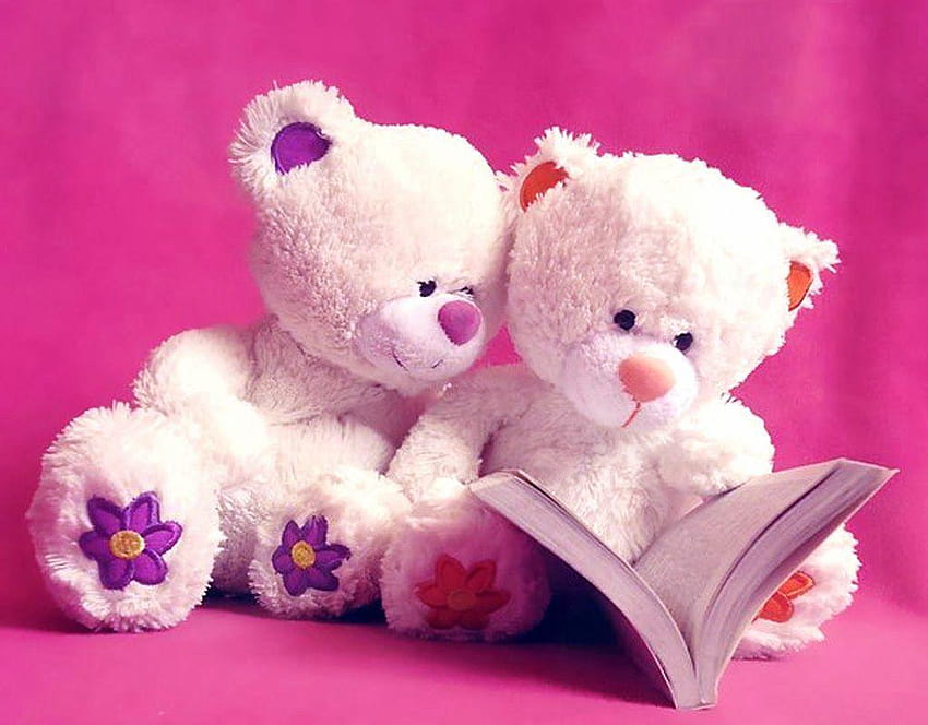 Cute Teddy B , Backgrounds, cute pink teddy bear for mobile HD wallpaper