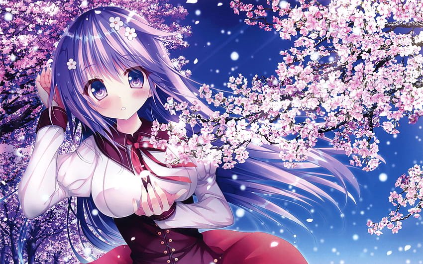 Flowers, Spring, Sakura, Girl, Anime, section art in resolution 2560x1600, anime flower spring HD wallpaper