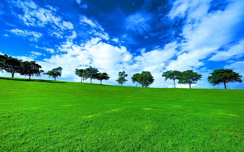 green ground green landscape 6959 7240 HD wallpaper