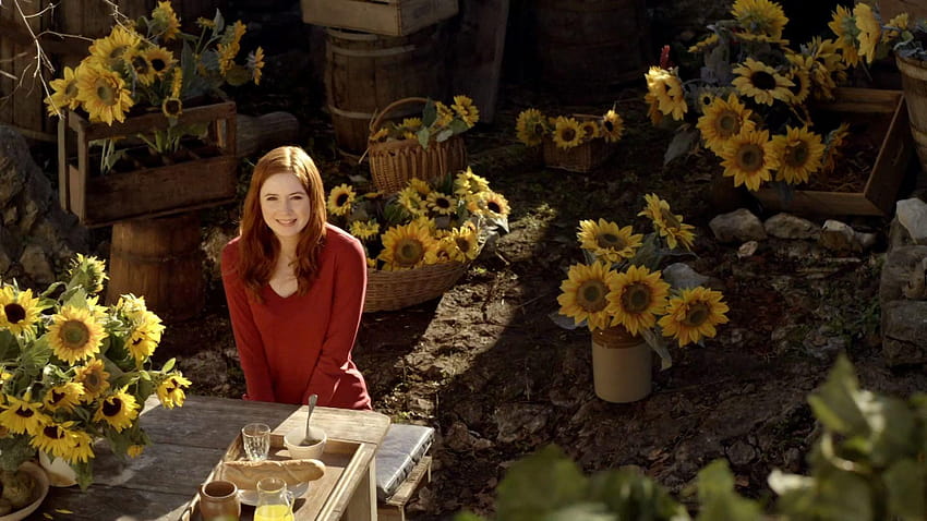 Amy Pond and Sunflowers HD wallpaper