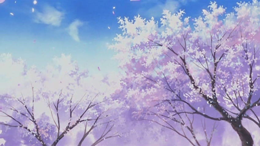 Anime Cherry Blossom Aesthetic, cherry blossoms aesthetic HD wallpaper