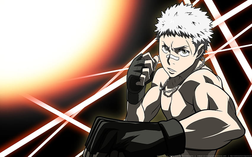 Sasagawa Ryohei, anime boxing HD wallpaper | Pxfuel