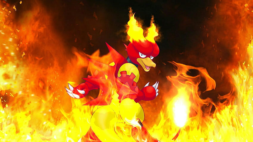 These fellas just managed to take down their 7th gym in a, magmar HD wallpaper