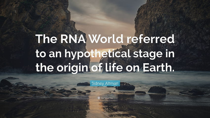 Citação de Sidney Altman: “O mundo do RNA se refere a um estágio hipotético na origem da vida na Terra.” papel de parede HD