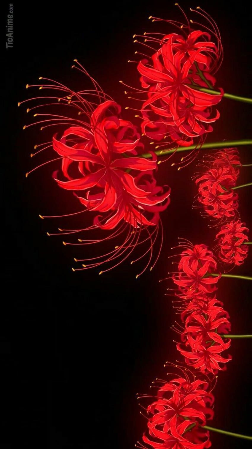 Estetika Anime Red Spider Lily, estetika higanbana wallpaper ponsel HD