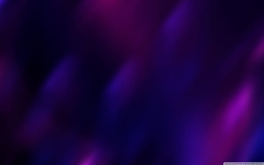 Purple Backgrounds, colour purple ultra HD wallpaper