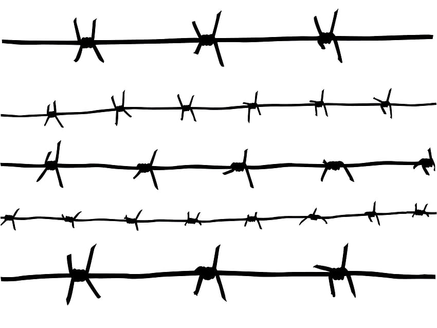 Barb Wire , Man Made, HQ Barb Wire, barbwire HD wallpaper