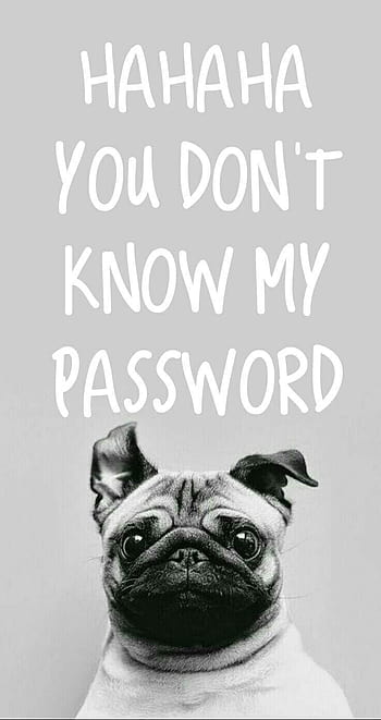 T know my password HD wallpapers | Pxfuel