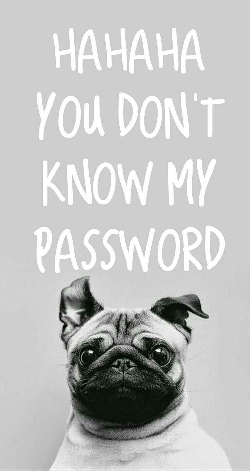 Hahaha You Don T Know My Password, haha you dont know my password HD phone wallpaper