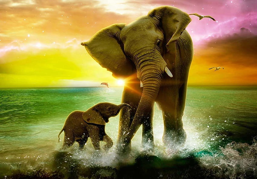 Cute Baby Elephant, elephant mother and child HD wallpaper