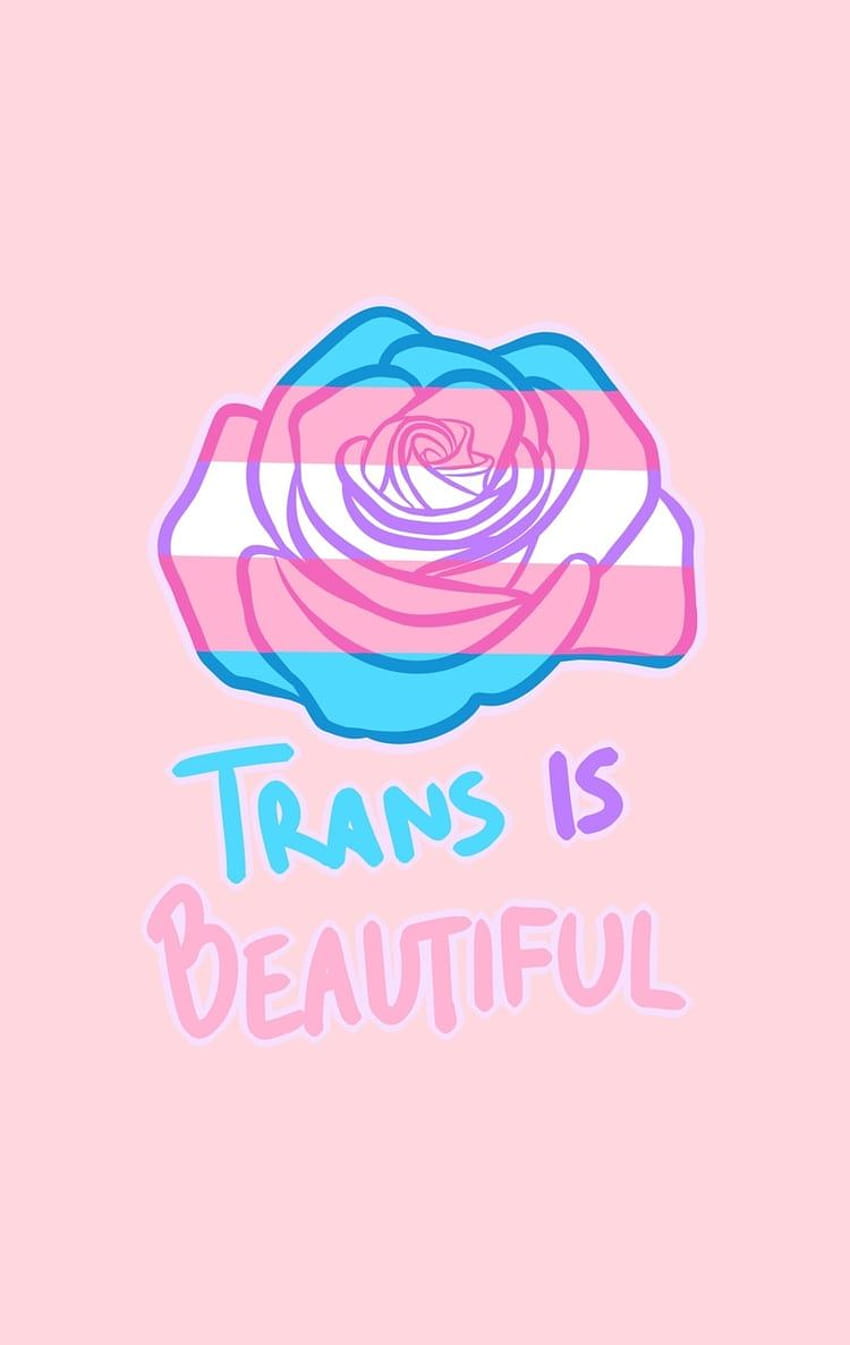 Transgender Flag posted by Samantha Tremblay, trans pride flag phone HD phone wallpaper