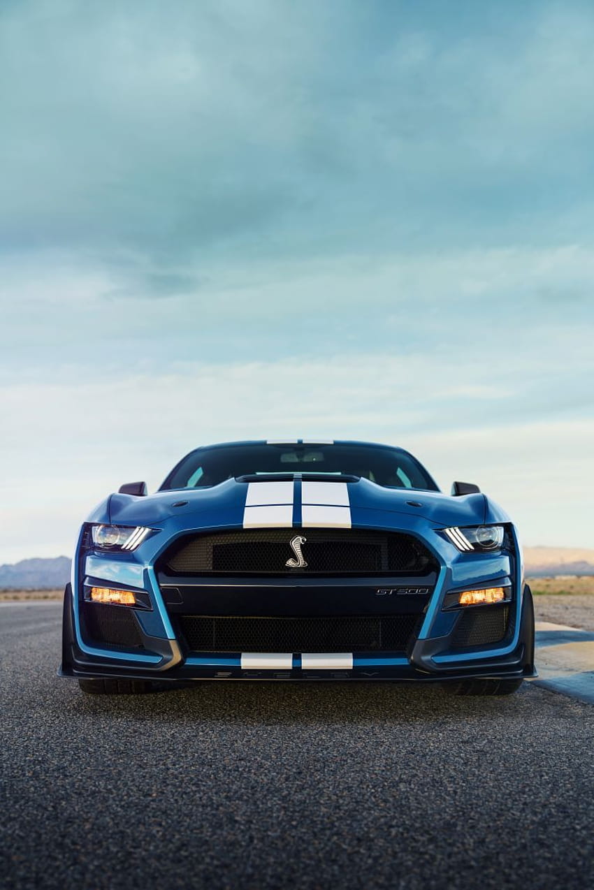 Ford Mustang Shelby GT500 2020, mustang shelby gt500 iphone wallpaper ponsel HD