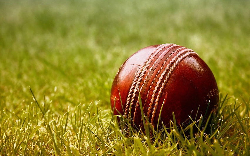 Cricket Untuk Iphone, bola kriket Wallpaper HD