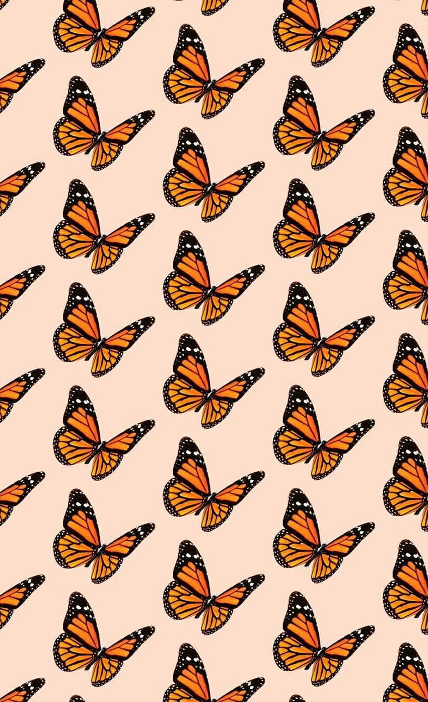 VSCO Butterfly, butterfly pattern HD phone wallpaper