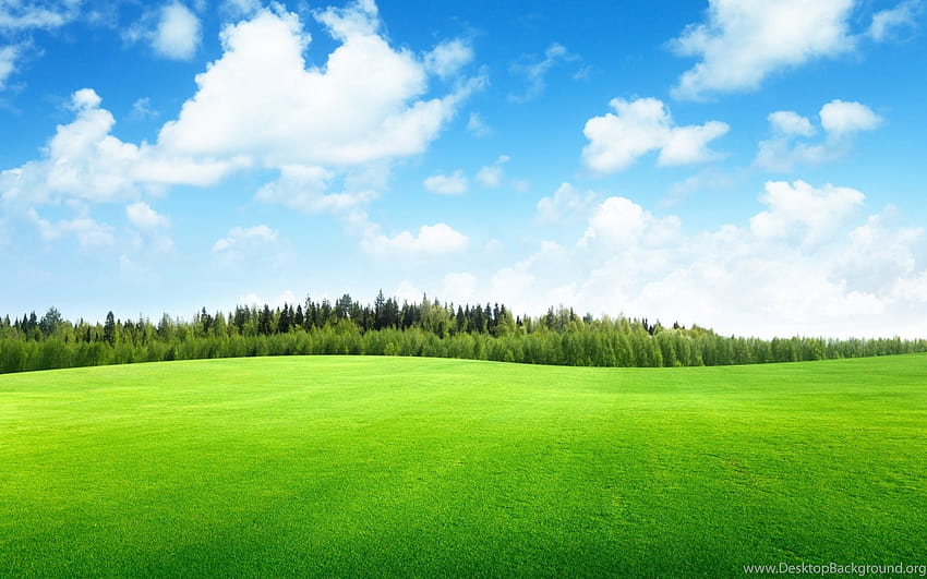 Зелена природа Красив пейзаж за фонове, зелена среда HD тапет