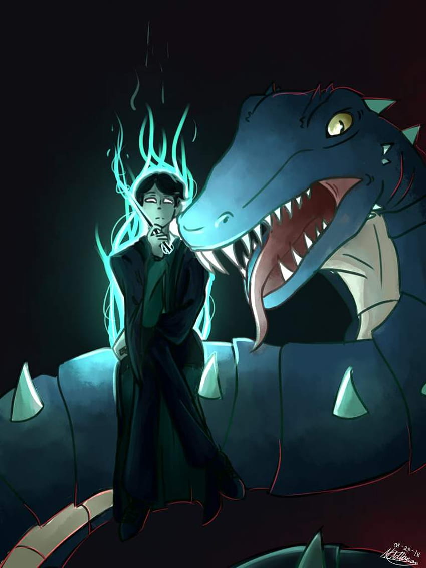 Tom Riddle und The Basilisk Fanart, Harry Potter Basilisk HD-Handy-Hintergrundbild