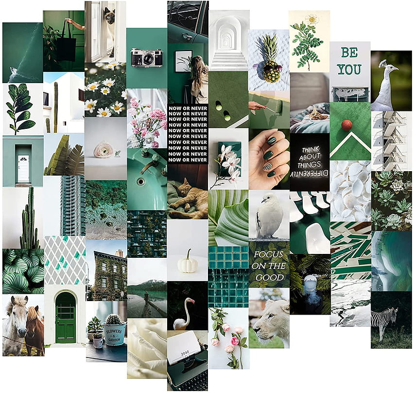 60 DIGITAL Sage Green Aesthetic Collage Sage Green Photo -  UK