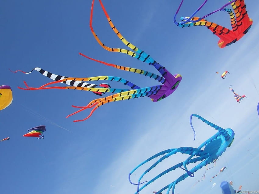 colorful, Big, And, Different, Style, Kites, Fly, In, Sky, On, Uttarayan, Festival / and Mobile Backgrounds HD wallpaper