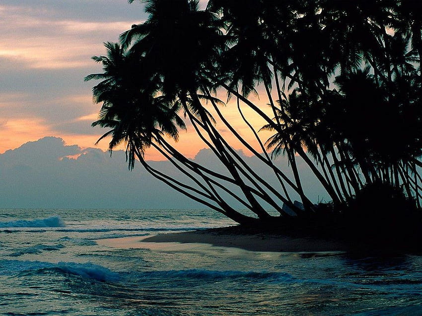> Przyroda > Kolombo, Wakacje na Sri Lance Tapeta HD