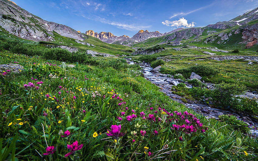 Пейзаж Красива природа Скалистите върхове Поток Ливада С, Колорадо планини лято HD тапет