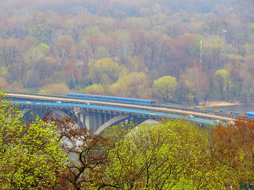 Ponti ferroviari ponte treno una strada in autunno molte foglie colorate, alberi ad alto fusto autunnali Sfondo HD