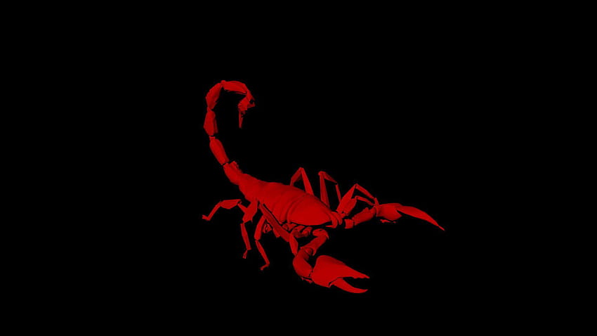 red scorpion wallpaper