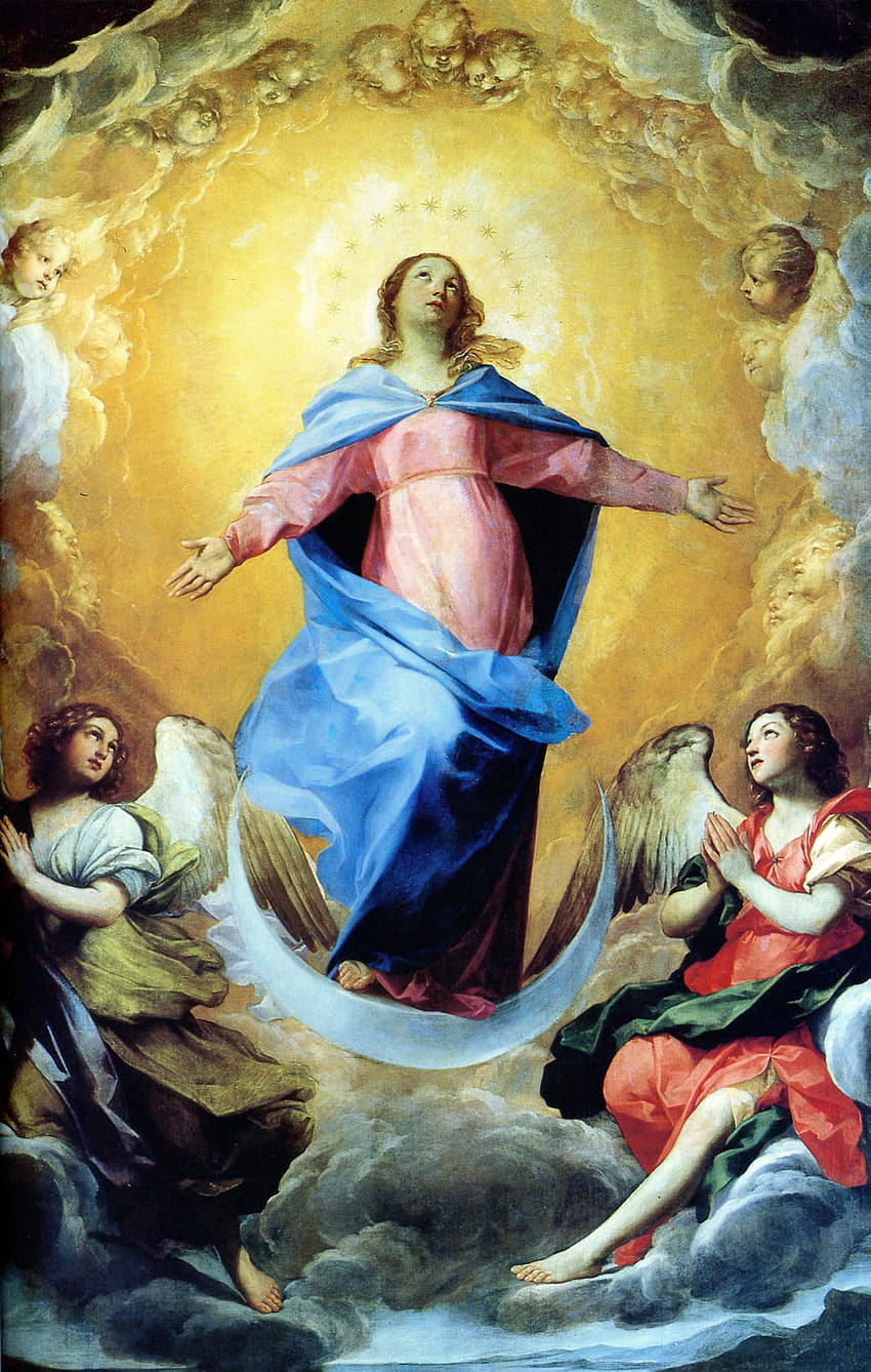 Assumption Of Mary Quotes. QuotesGram HD phone wallpaper